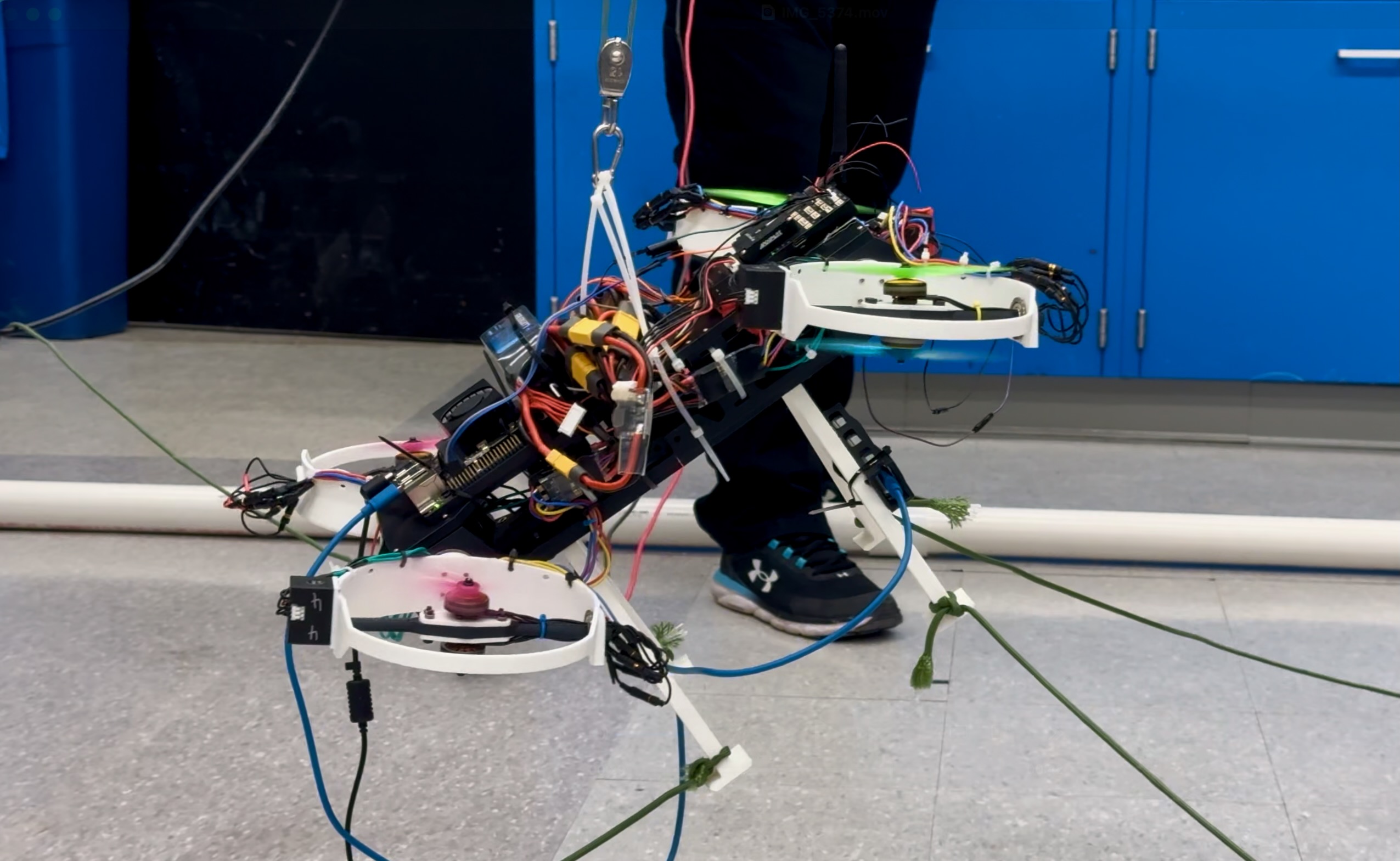 Preliminary Flight Test